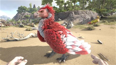 The Pelagornis is one of the Creatures in ARK: Survival Evolved. This section is intended to be an exact copy of what the survivor Helena Walker, the author of the dossiers, has written. ... Color Scheme and Regions [] ... With a wingspan of around 6 m (18 ft), Pelagornis was one of the longest wingspan flying birds in history (Argentavis could .... 