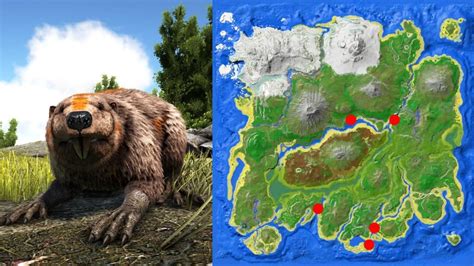 In this video, I show you where to find Beaver Dams on the Center Map of Ark Survival Evolved. There are many Castoroides spawns on the Center. Here are mo....