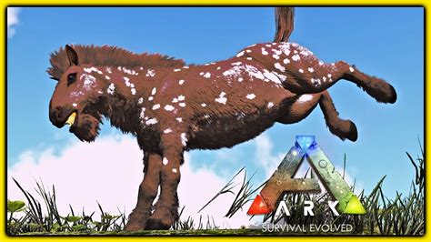 Caballus is a lovingly crafted map for ARK: Survival Evolved, developed and fully completed by Doudel. While the main theme is Equus (horse), the map has much more to offer than just horses. The attention to detail, numerous discoveries and secrets, breathtaking and challenging caves, building spots... . 