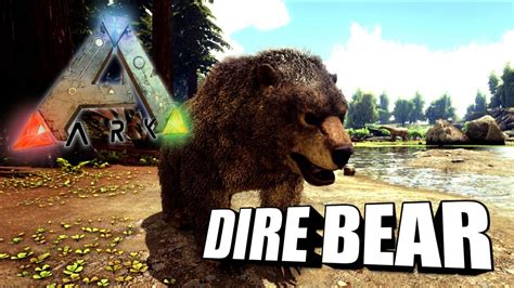 Ark dire bear tame. Posted August 3, 2016. The Dire Bear is one of my favorites. When I started on the Center, I was lucky to find a high level one early on and managed to slap up a simple pit near it and lure it in (a bit unnerving when you are low level), and tame it. Used it for metal runs, caves, and great for raiding beaver dams. 