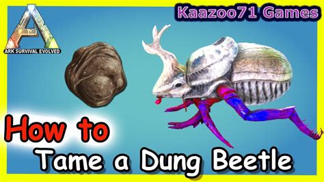 Ark dung beetle taming. The most basic way to tame a dung beetle is to sneak up on them in the crouched position and start offering them feces. After a certain amount of feces and time, the dung beetle will be considered tamed and you can pick it up and take it to your base. 