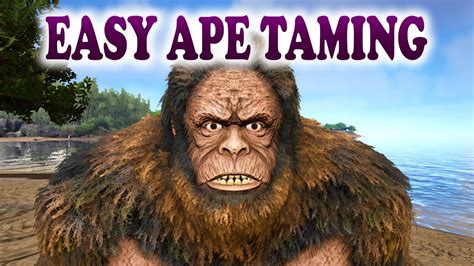 Mar 13, 2021 · How to Tame a Gigantopithecus Gigantopithecus is a passive tame. Its favorite foods are Regular Kibble and Mejoberry. In this, how to video, I am on Valguero. 