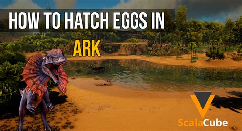 Ark how to get and hatch eggs ark how to hatch eggs how to hatch