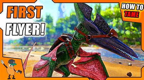 Ark how to tame a pteranodon. 1.5K 166K views 3 years ago #ArkBeginnersGuider #ArkHowTo HOW TO TAME A PTERANODON! | YOUR FIRST FLYER! | ARK How To Tame Series with … 