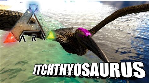 Jun 30, 2015 · The Ichthyosaurus (ick-thee-oh-sawr-us) or Ichthy is one of the creatures in ARK: Survival Evolved. This section is intended to be an exact copy of what the survivor Helena Walker, the author of the dossiers, has written. There may be some discrepancies between this text and the in-game creature. Ichthyosaurs are a very friendly species to most creatures, and will often swim towards you and ... . 