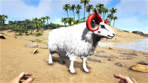 Ark ovis taming food. The Shinehorn (formerly known as the Lantern Goat) is one of the Creatures in the Aberration-DLC of ARK: Survival Evolved. It is the adorable miniature relative of Bovids like Ovis and Cervids like Megaloceros. This section is intended to be an exact copy of what the survivor Helena Walker, the author of the dossiers, has written. There may be some … 
