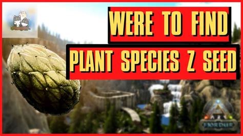 In this Plant X Seed locations guide for Ark Fjordur, I will show you the easiest and fastest ways to get Plant Species X Seeds on the new Fjordur map. These....
