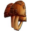 Ark rare mushroom. Mainly you can gather rare mushrooms from crystal/gem nodes by anky or purple flowers that give silk by Therazino ather option is beaver dams or Gatch Hi All, I am searching for rare mushrooms on Extinction map, anyone have any suggestions please? I have a few but i need more. 