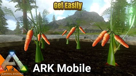 Sep 6, 2023 · The Rockarrot in Ark Ragnarok is essentially a carrot and is among the game’s 4 crops. On either a medium or big agricultural plot, it is collected from a plant that was produced from a ... . 