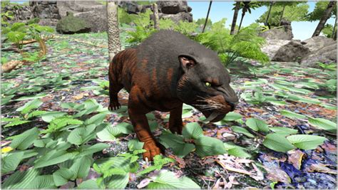 The Pachycephalosaurus, or simply Pachy, is one of t