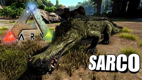 Ark sarco tame. Cost. 275 × Cures. The Sarco Saddle is used to ride a Sarco after you have tamed it. It can be unlocked at level 35. When riding a Sarco you will go faster in water than you go on … 