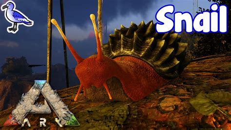 Ark snail taming. Things To Know About Ark snail taming. 