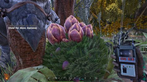 Plant Species X Command (GFI Code) The admin cheat command, along with this item's GFI code can be used to spawn yourself Plant Species X in Ark: Survival Evolved. Copy the command below by clicking the "Copy" button. Paste this command into your Ark game or server admin console to obtain it. For more GFI codes, visit our GFI codes list.. 
