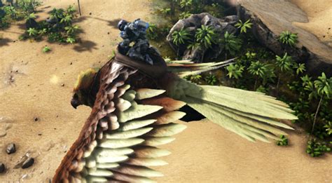 1.5x Hexagon Bonus. 0.5x Mating Interval, and Cuddle Interval. The following has a chance to drop once the creature is killed. Quantities and items vary per kill. This section displays the Apex Argentavis's natural colors and regions. For demonstration, the regions below are colored red over an albino Apex Argentavis.