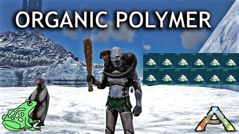 Organic Polymer is a resource in ARK Survival Evolved. Organic Polymer is a natural version of Polymer that you can get from killing Kairuku, Hesperornis, Mantis, Karkinos, and harvesting beehives. You can use it instead of Polymer but it has a spoil timer and can only be stacked up to 20 in comparison to the usual 100 for regular Polymer.