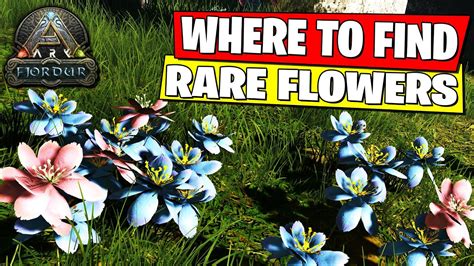 The Rare Flower is a special type of flower in Ark Fjordur that has many unique uses. It can be used to craft fertilizers, tame different creatures and. ... Ark: Survival Evolved.. 