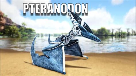 Ark tame pteranodon. When taming a high level Pteranodon, always starve tame it that way you don't waste/lose your kibble if somebody/something hits/kills it. Use the barrel roll attack and it harvest meat prime meat and mutton really well. You can perch on the very tips of redwood trees to regain stamina. 