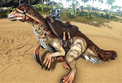 The Spino Saddle is used to ride a Spinosaurus after you have tamed it. It can be unlocked at level 71. It can be found in red drops and deep sea drops which can be opened by level 81. See more information on saddles at the Saddles page.. 