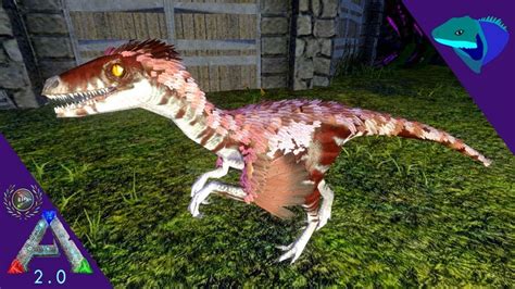 The Glowtail is a lizard-like creature in Ark: Aberration. What do