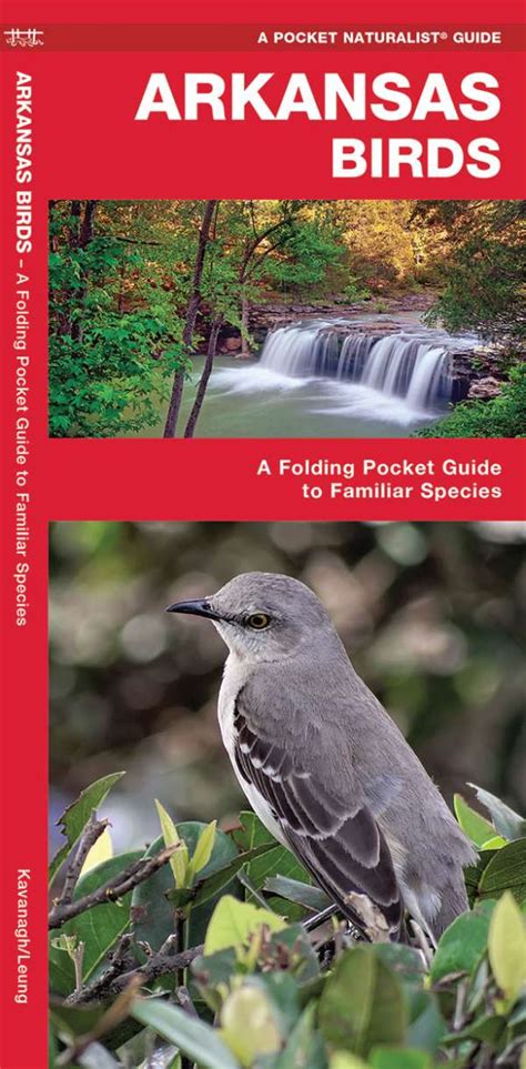 Arkansas nature set field guides to wildlife birds trees wildflowers of arkansas a pocket naturalist guide. - Hp designjet 110plus nr service manual.