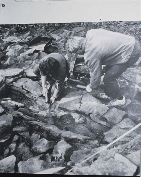 Arkeologiske undersøkelser på slettnes, sørøy 1991. - 1995 infiniti q45 reparaturanleitung download herunterladen.