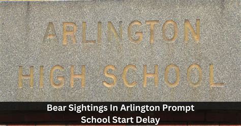 Arlington schools issue warning, delay opening after bear sightings