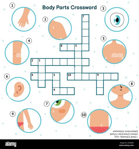 Arm parts crossword clue. The NYTimes Crossword is a classic crossword puzzle. Both the main and the mini crosswords are published daily and published all the solutions of those puzzles for you. Two or more clue answers mean that the clue has appeared multiple times throughout the years. LONG PART OF A BOUZOUKI Ny Times Clue Answer. NECK This clue was … 