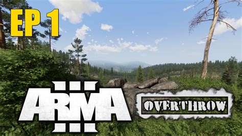 codini.rgarabwor.edu.pl. 