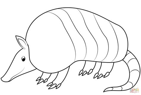 Armadillo Coloring Pages