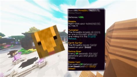 1. There is a new mining pet called Armadillo on hypixel skyblock. 2. That pet triggers some kind of false flags on NCP (hypixel's anti cheat) 3. I'm falsely banned from Hypixel Network for 30 days. I already made an appeal but I think it's gonna get denied +My ping is around 180ms +Yes, I'm using togglesneak mod but I'm only using it for .... 