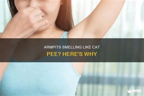 Armpits smell like cat pee. .  <a href=https://staging-statamic.stillstream.ai/assets/image...