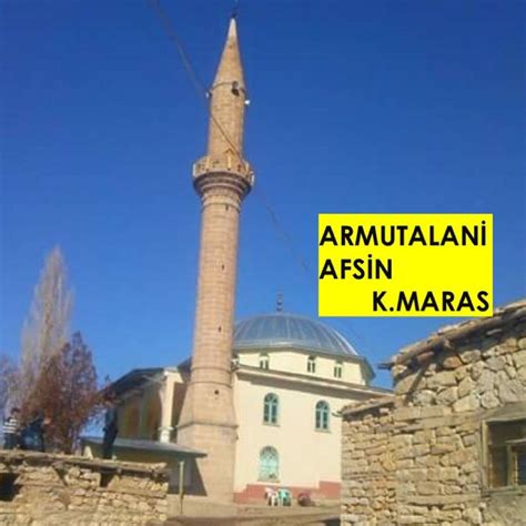 Armutalani Halı ve Koltuk Yıkama