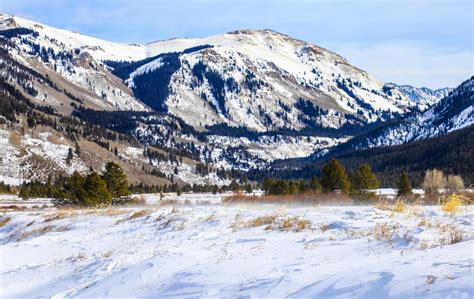 Army destroys World War II landmine found by hiker in Colorado forest near Camp Hale