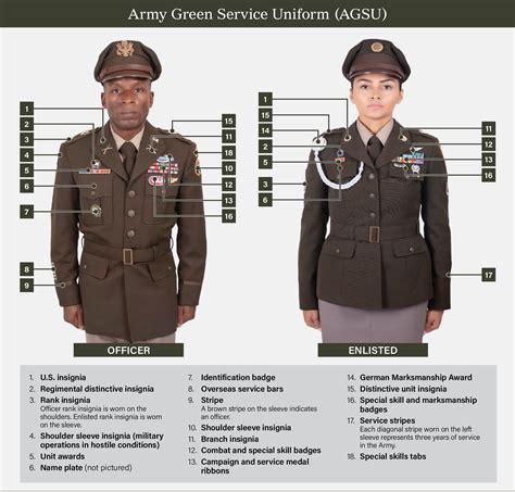 Army green service uniform regulation. The Army Service Uniform ( ASU) is a military uniform for wear by United States Army personnel in garrison posts and at most public functions where the Army Combat Uniform is inappropriate. As of 2021, the Army has two service uniforms for use by its personnel. The Army Green Service Uniform, announced in 2018 and authorized in 2020, is used ... 
