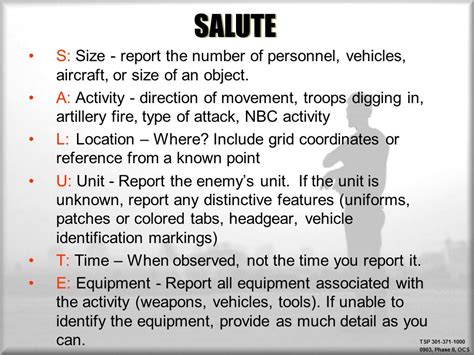 Army salute report.  Learn how to report enemy information using the SALUTE a...