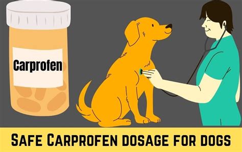 Arnica for dogs dosage chart by weight pdf. .  ...