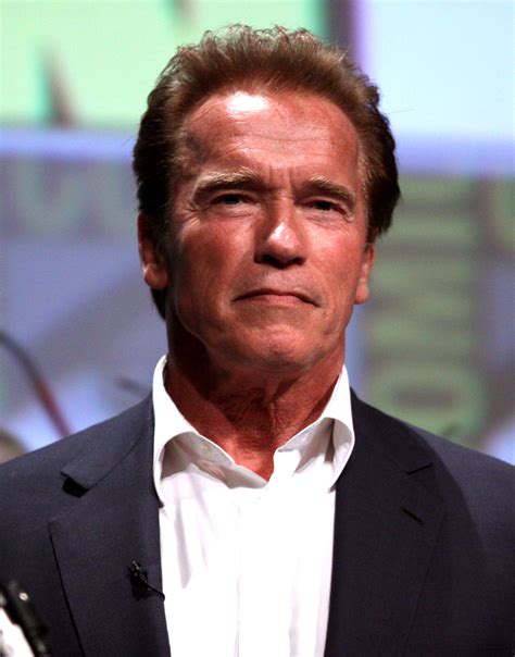 Arnold Schwarzenegger Recalls His Tough Recovery After ‘Disaster’ 3rd Open Heart Surgery. Arnold Schwarzenegger got candid about how he persevered while recovering from his third open heart ....