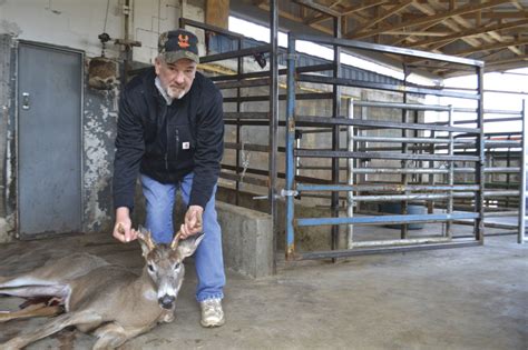 Arnold's deer processing. Things To Know About Arnold's deer processing. 
