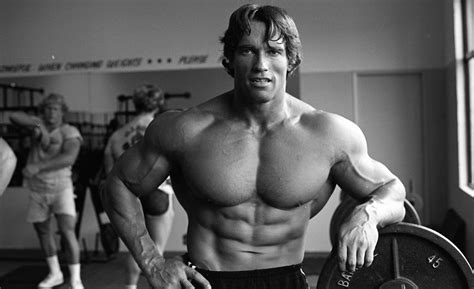 Arnold schwarzenegger workout. Things To Know About Arnold schwarzenegger workout. 