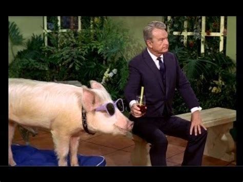 Arnold ziffel. Nov 7, 2021 ... Here's what happened to the pig who played Arnold Ziffel on the classic TV show, "Green Acres" that starred Eddie Albert and Eva Gabor. 