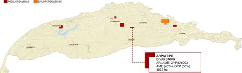 Arpatepe Halı ve Koltuk Yıkama
