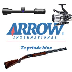 Arrow International - arw.ro