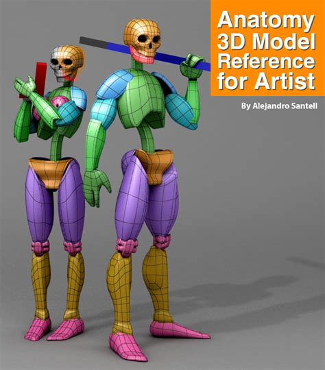 ArtStation Anatomy 3D Model Reference For Artist 3D model Resources