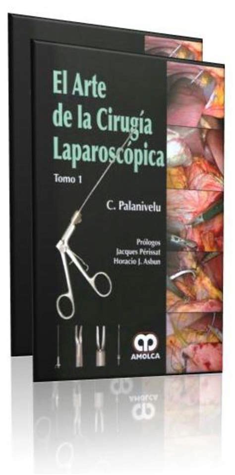 Arte del libro de texto de cirugía laparoscópica y atlas 2 vols. - Stapled stocks, tracking stocks, mittelbare organschaft.
