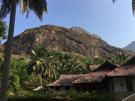 😈 Artemiswanders Onlyfans Leaked +18