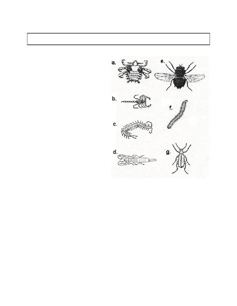 Arthropods reinforcement and study guide answers. - Manuale delle soluzioni di strumentazione elettronica.