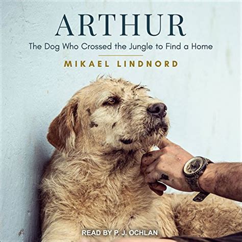 Read Online Arthur The Dog Who Crossed The Jungle To Find A Home By Mikael Lindnord