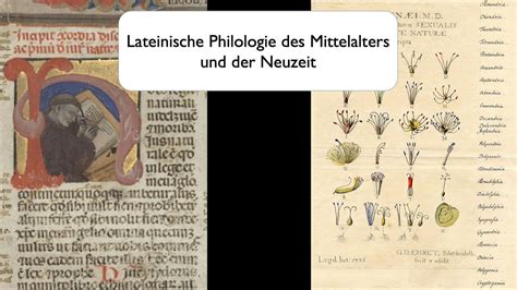 Artibus: kulturwissenschaft und deutsche philologie des mittelalters und der fruhen neuzeit. - Orizzonti della memoria, orizzonti del gruppo.