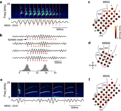 Article on Memory May Make a Lasting Impression Depending on Theta Phase Lock