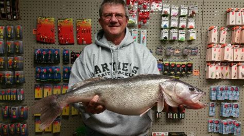 Artie's bait & tackle. Things To Know About Artie's bait & tackle. 